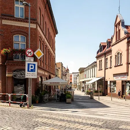 Apartment Platinum 14 Rybnik (Silesia)